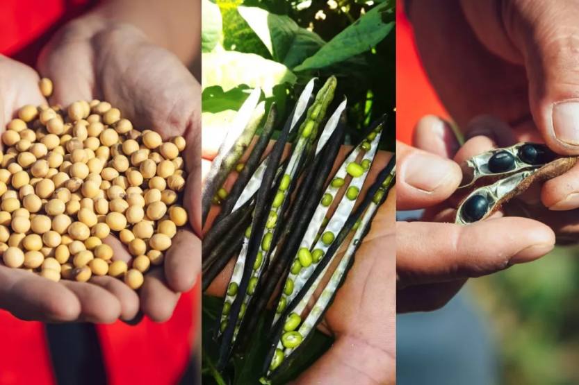 640.webp (5) 640.webp (5)