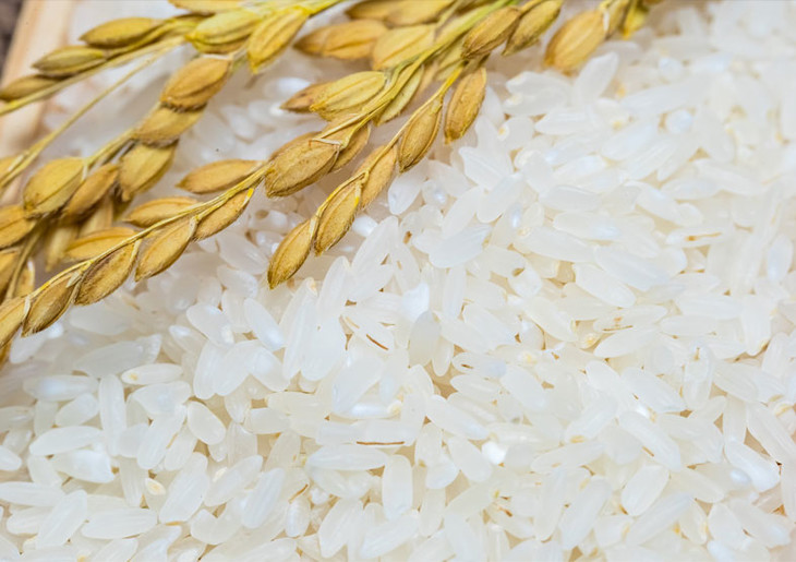 FqMhl-eFzWCz-uzFjqKfh11sp3G3.jpg!730x0