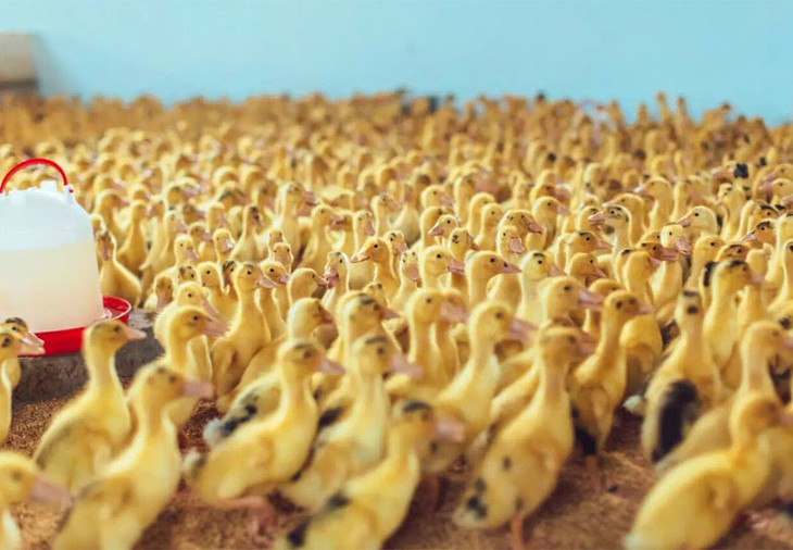 FuF0zbh1LAvh_bUbRkoB00AasQde.jpg!730x0