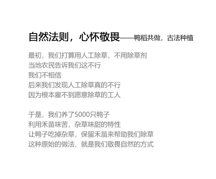 FpDwUOPC5F1XE7nNBmHI0wOG-sXm.jpg!730x0