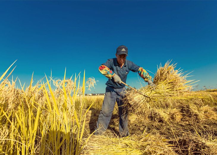 FnYDHi_M-f1SPyhkGvlkrXo_YdQy.jpg!730x0