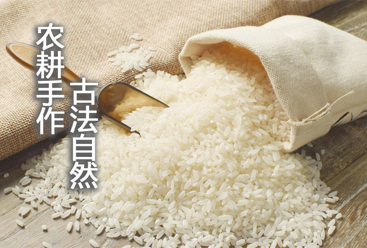 Frq4p_jYlBvHH4-J7CtjDtVIBFVc.jpg!730x0