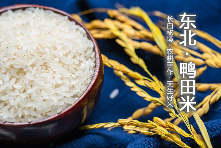 FlPUbWYGe2T31_puJKZBBAA81AW6.jpg!730x0