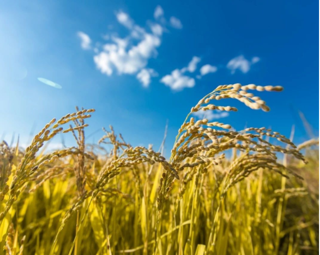 QQ截图20181221160114