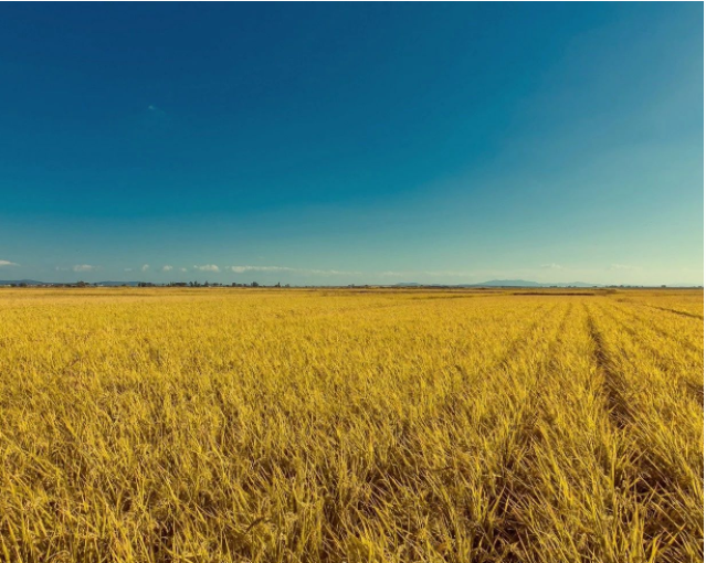 QQ截图20181221155927