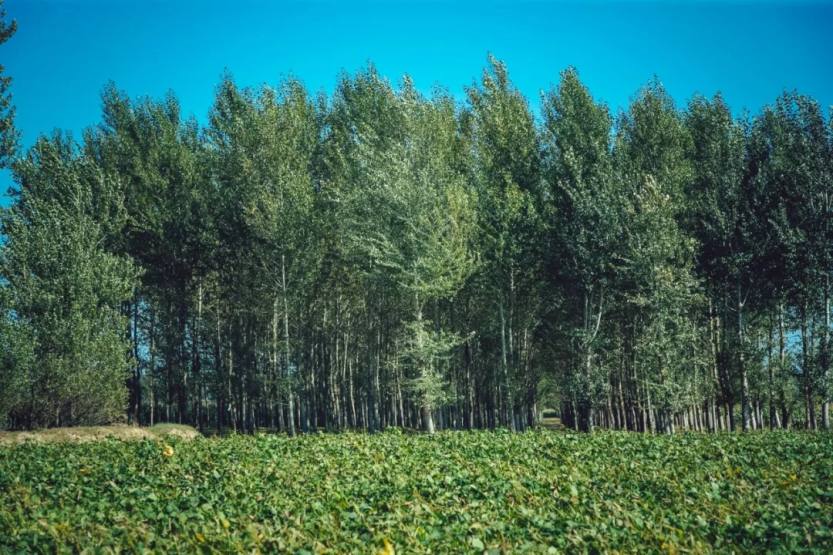 640.webp (5) 640.webp (5)