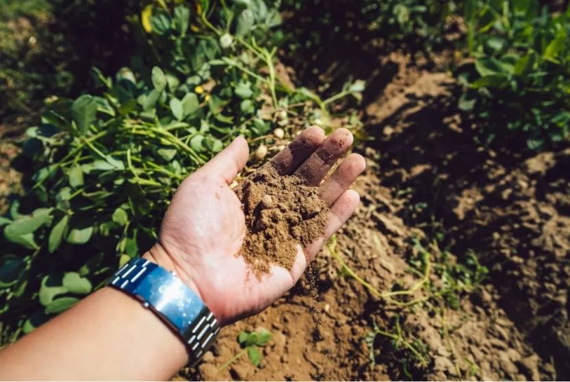 640.webp (4) 640.webp (4)