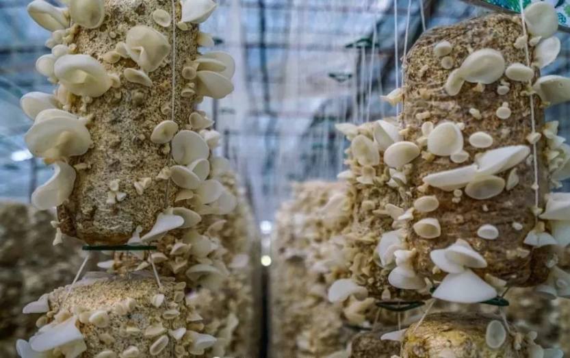 640.webp (22) 640.webp (22)