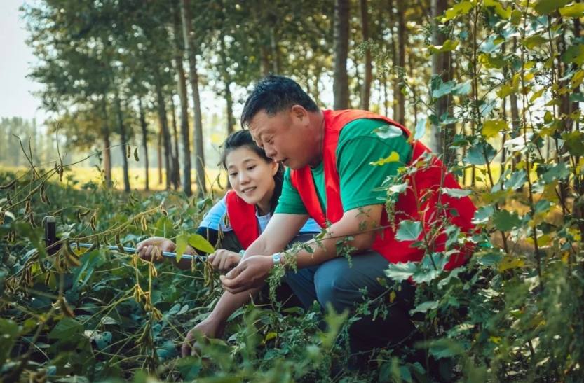 非转基因 非转基因