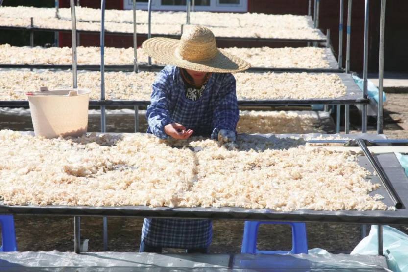 640.webp (23) 640.webp (23)