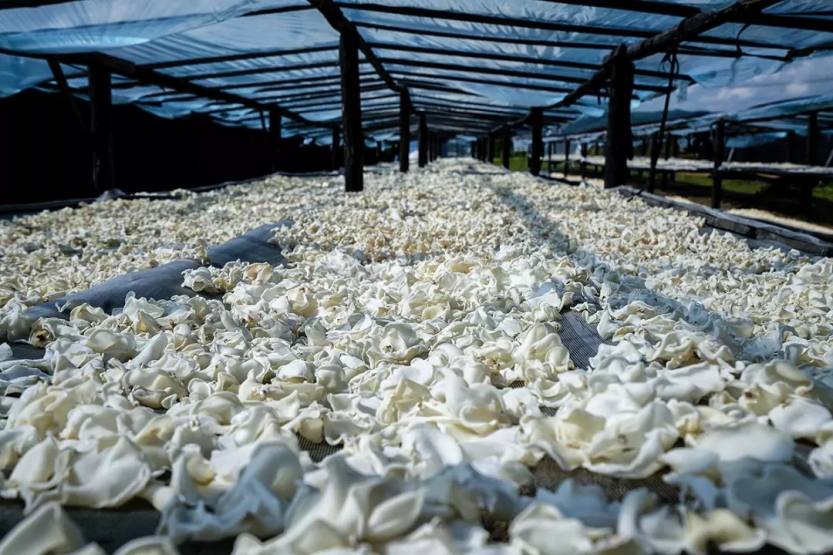 640.webp (26) 640.webp (26)