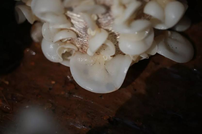 640.webp (24) 640.webp (24)