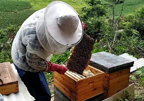 640.webp (31) 640.webp (31)