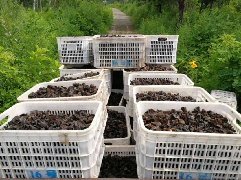 640.webp (42) 640.webp (42)