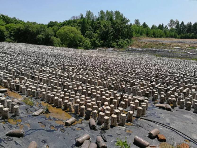 640.webp (40) 640.webp (40)