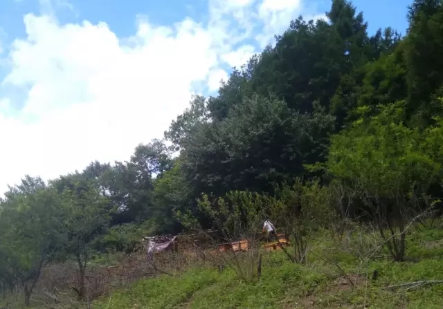 640.webp (29) 640.webp (29)