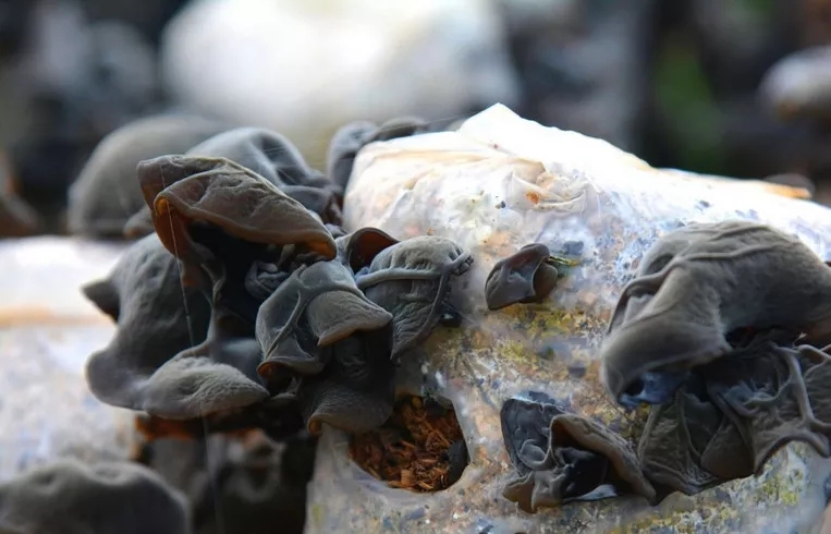 640.webp (44) 640.webp (44)