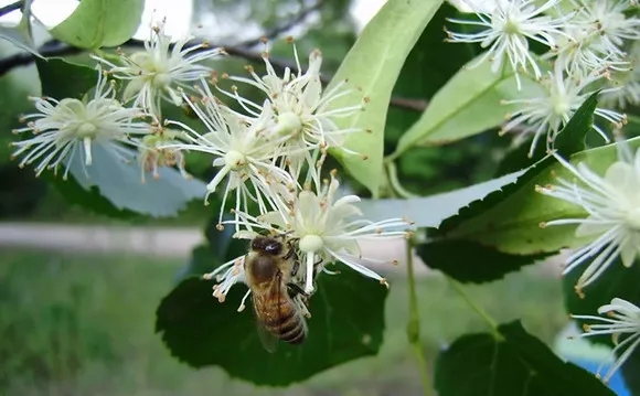 640.webp (30) 640.webp (30)