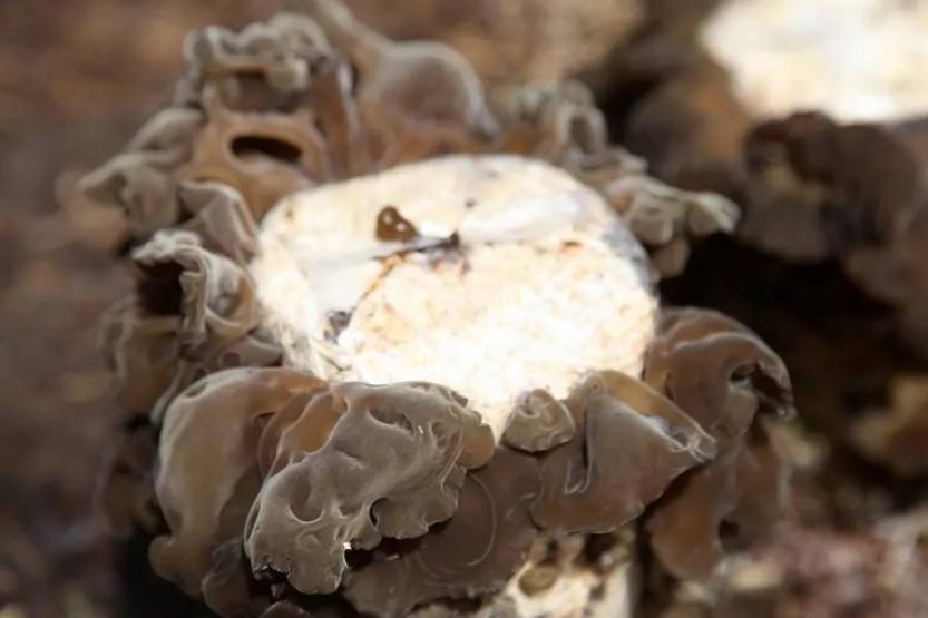 640.webp (41) 640.webp (41)