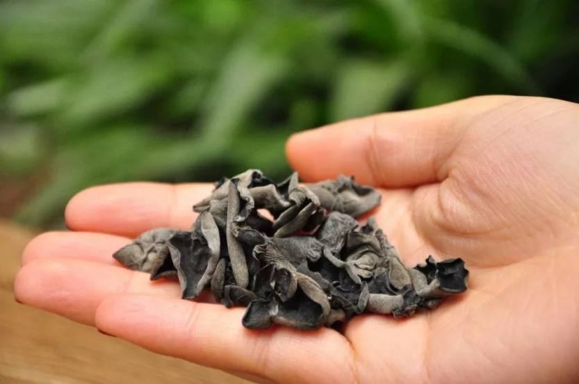 640.webp (43) 640.webp (43)