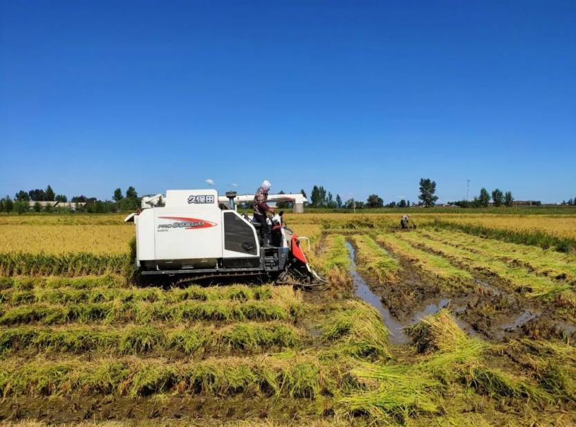 640_wx_fmt=jpeg&wxfrom=5&wx_lazy=1&wx_co=1 (8) 640_wx_fmt=jpeg&wxfrom=5&wx_lazy=1&wx_co=1 (8)