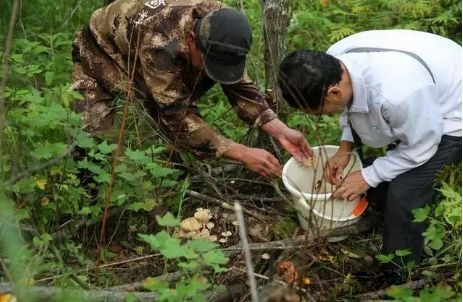 640_wx_fmt=png&wxfrom=5&wx_lazy=1&wx_co=1 (1) 640_wx_fmt=png&wxfrom=5&wx_lazy=1&wx_co=1 (1)