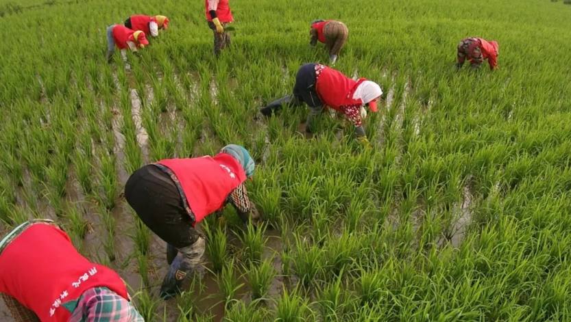 640_wx_fmt=jpeg&wxfrom=5&wx_lazy=1&wx_co=1 (5) 640_wx_fmt=jpeg&wxfrom=5&wx_lazy=1&wx_co=1 (5)