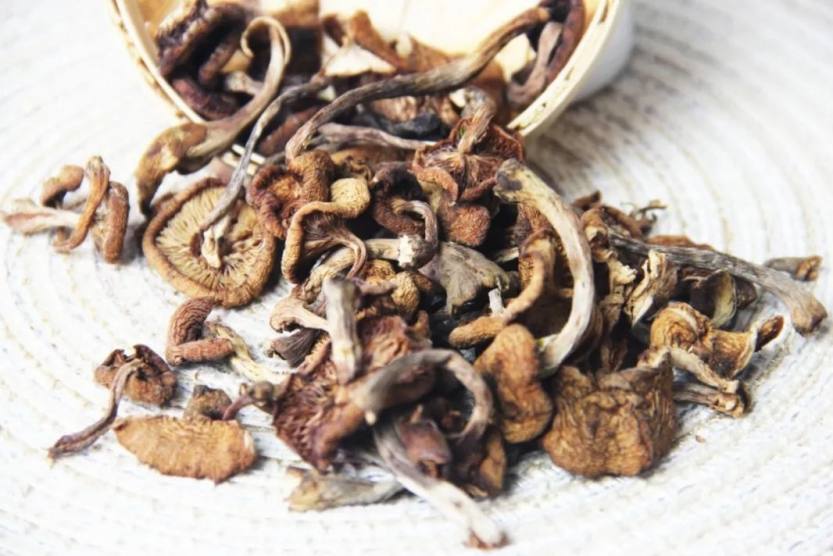 640_wx_fmt=jpeg&wxfrom=5&wx_lazy=1&wx_co=1 (3) 640_wx_fmt=jpeg&wxfrom=5&wx_lazy=1&wx_co=1 (3)