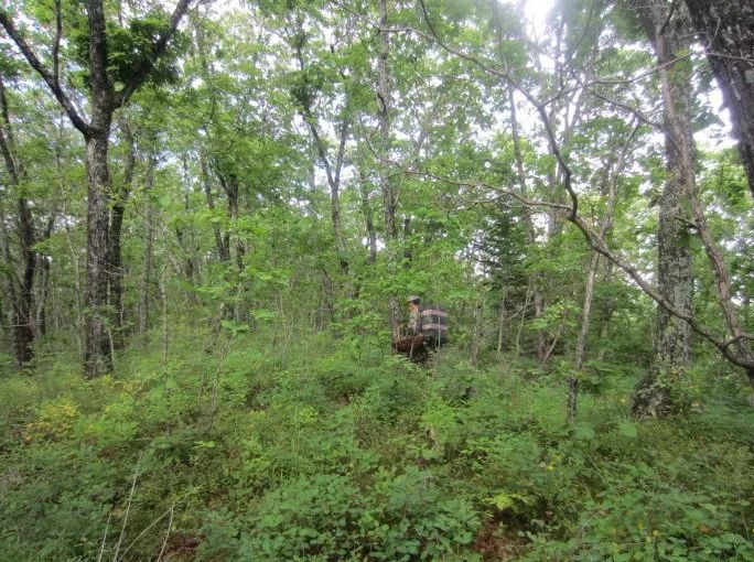 640_wx_fmt=jpeg&wxfrom=5&wx_lazy=1&wx_co=1 (2) 640_wx_fmt=jpeg&wxfrom=5&wx_lazy=1&wx_co=1 (2)