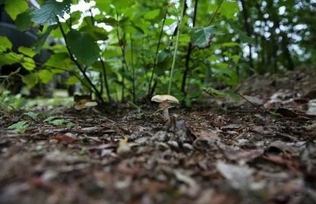 640_wx_fmt=png&wxfrom=5&wx_lazy=1&wx_co=1 640_wx_fmt=png&wxfrom=5&wx_lazy=1&wx_co=1