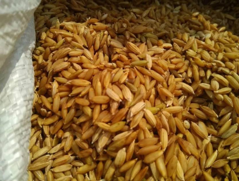 640_wx_fmt=jpeg&wxfrom=5&wx_lazy=1&wx_co=1 (7) 640_wx_fmt=jpeg&wxfrom=5&wx_lazy=1&wx_co=1 (7)