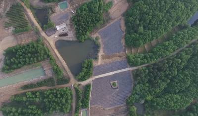 龙岗山生态特产科技开发有限公司