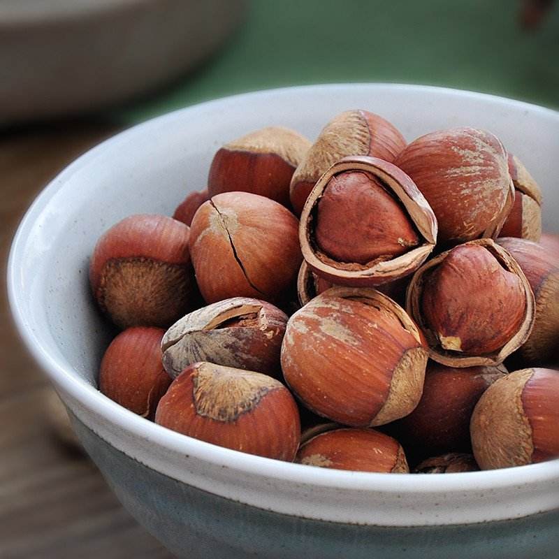 榛农庄 大榛子散装