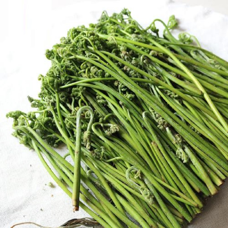 寰珍山野菜——猫爪子