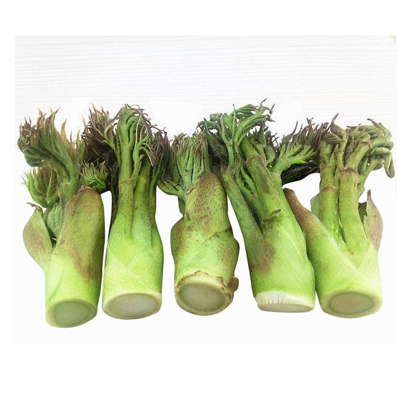 寰珍山野菜——刺老芽