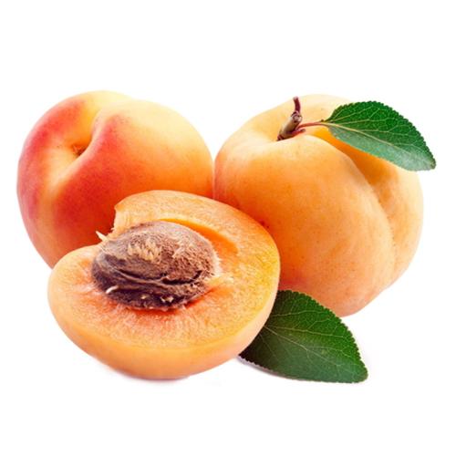 田园水果合作社——杏