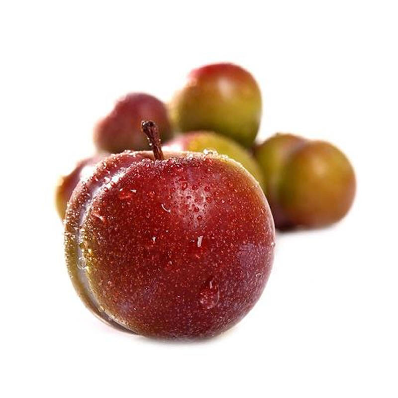 田园水果合作社——李子