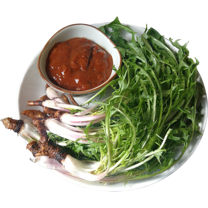 绿思达 山野菜婆婆丁