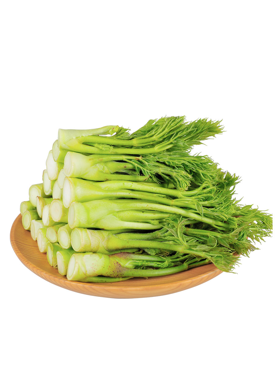 绿思达 山野菜刺嫩芽