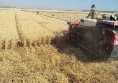 辉南县丰盛稻谷种植专业合作社