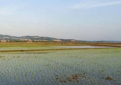 辉南县三亩大叔农业开发有限公司