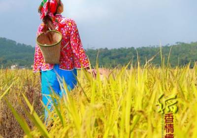 辉南县益农谷物种植专业合作社