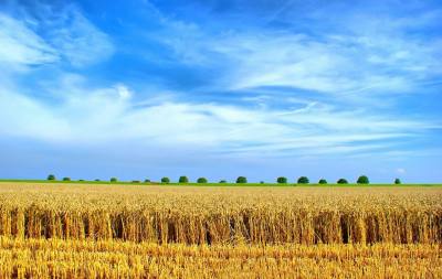 辉南县三通河稻米生产专业合作社