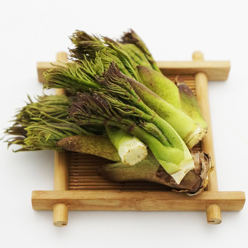 易生源 山野菜散装——刺嫩芽