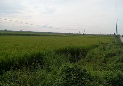 辉南县农富谷物种植合作社