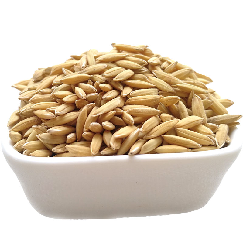 丰盛 优质宏科181稻谷