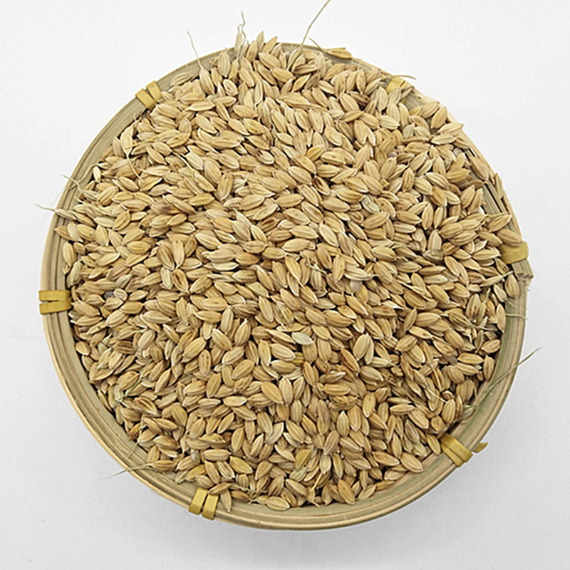 盛丰 优质小香稻稻谷