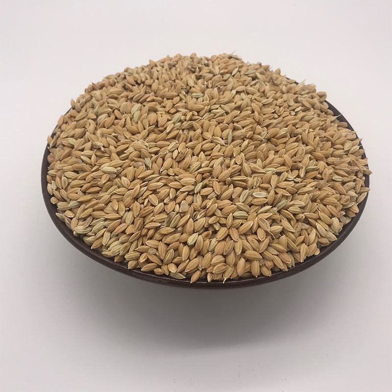 国良 优质小稻香稻谷