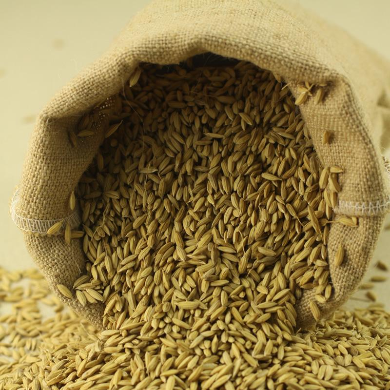 国良 优质宏科57稻谷