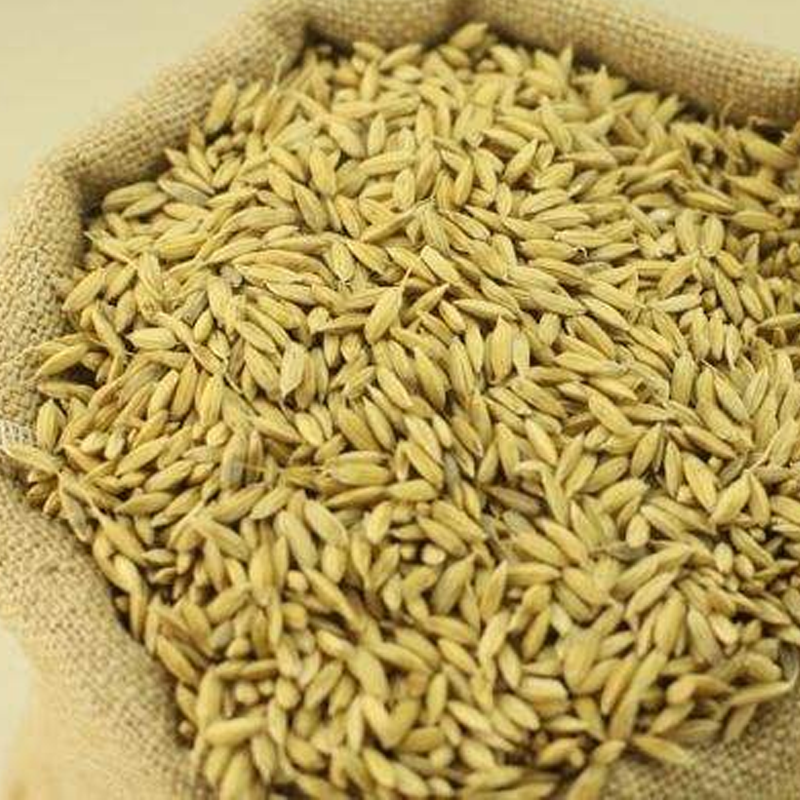 百泉谷物 2019年 稻谷 宏科57